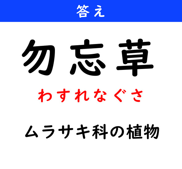 漢字クイズ　難読漢字　勿忘草