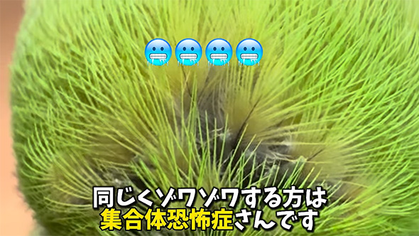 同じくゾワゾワ