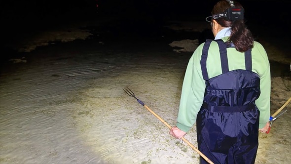 妻と夜の潮干狩りに行ったら大物