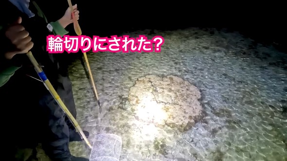 妻と夜の潮干狩りに行ったら大物