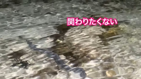 妻と夜の潮干狩りに行ったら大物