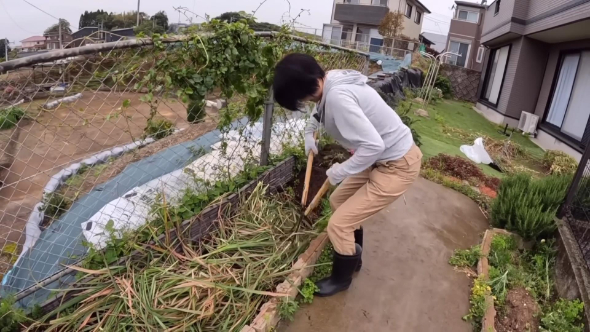 レモングラスを刻む