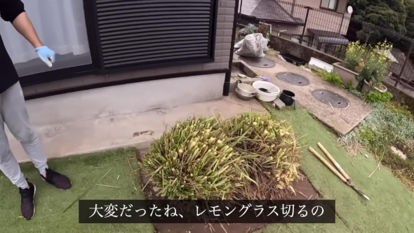 切られたレモングラス