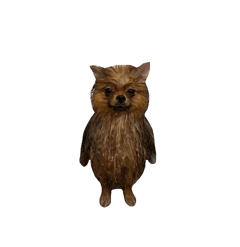 “謎生物”っぽいミルモくん
