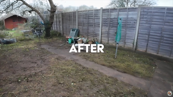生い茂るイバラの山