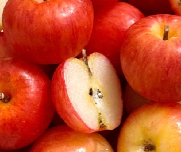 ミニチュアのフェイクりんごが超リアル