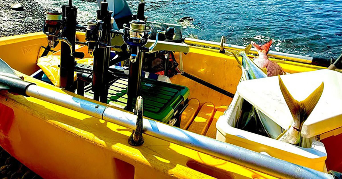 「どんだけ釣り上げますのん」　秋の早朝、ボートで海に出たら……　“まさかの事態”に「羨ましい」「笑いが止まりませんね」（1/3） | ライフスタイル ねとらぼ