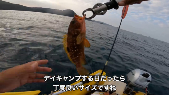 秋 朝まずめ 大物 釣れ過ぎて 大漁 ボート釣り