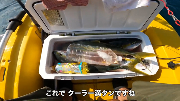 秋 朝まずめ 大物 釣れ過ぎて 大漁 ボート釣り