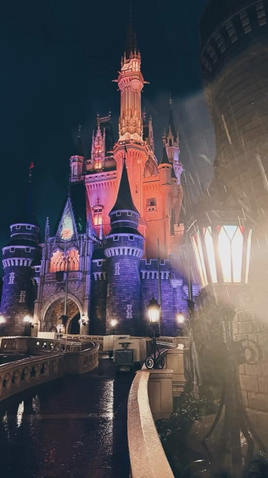 雨夜のディズニーランド