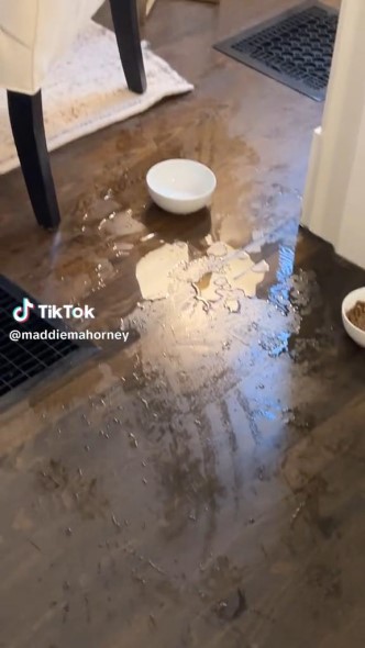 びしょびしょの床