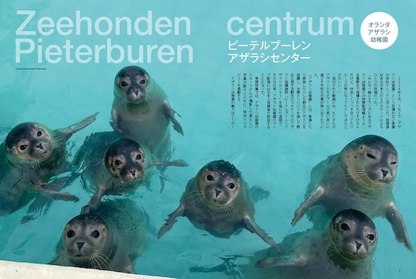 見開き