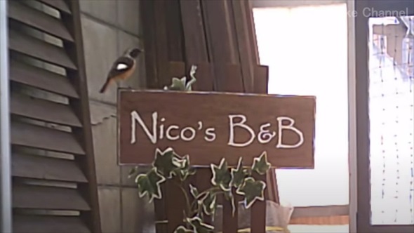 渡り鳥の映画のような帰還