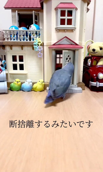 かつて伝説級にバズった「毎朝、ドールハウスを“断捨離”する