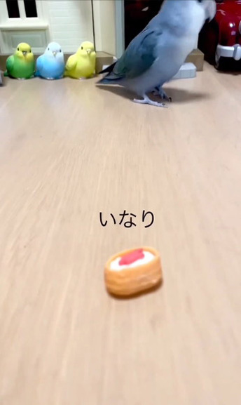 断捨離が見つけた宝物 ＃4 - YouTube