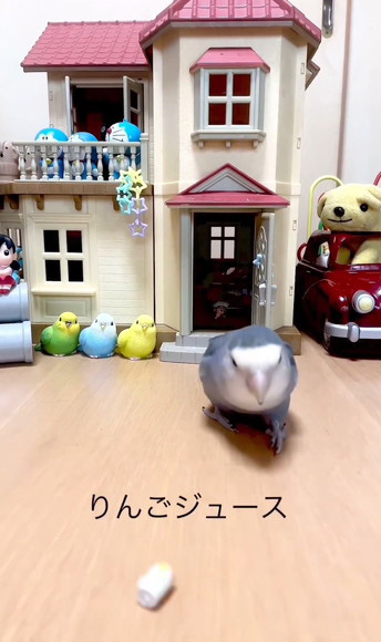 りんご@断捨離中 Amazon.co.jp: Cabilock 24個 透明 リンゴ 容器 プラスチック
