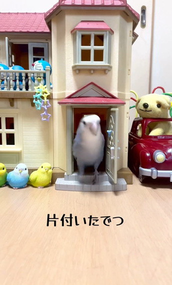 インコ 断捨離 ドールハウス 片付け