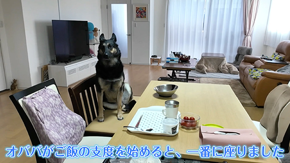 ワンコのお留守番をモニタリング