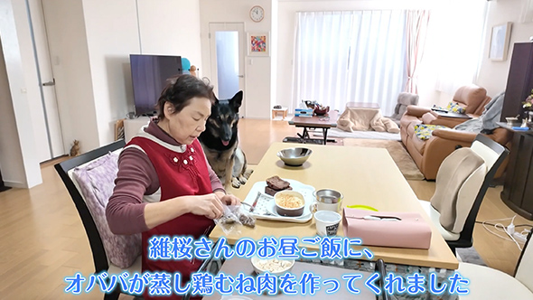 ワンコのお留守番をモニタリング