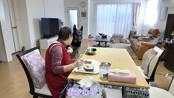 ワンコのお留守番をモニタリング