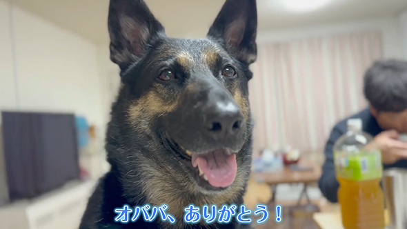 ワンコのお留守番をモニタリング