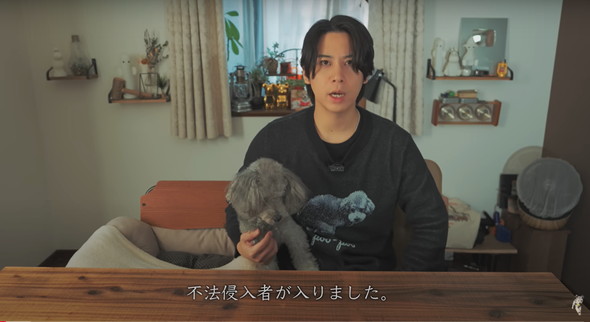 不法侵入する猫ちゃんたち