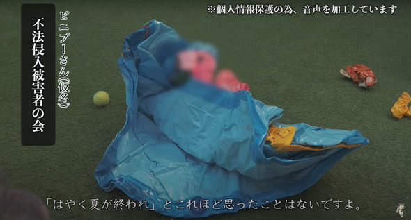 不法侵入する猫ちゃんたち