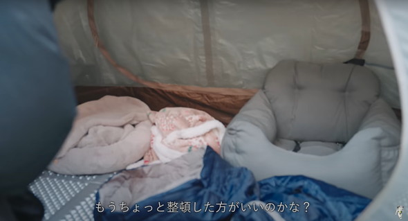 不法侵入する猫ちゃんたち