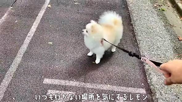 いつも行かない