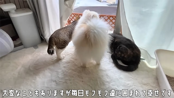 大変なこともありますが