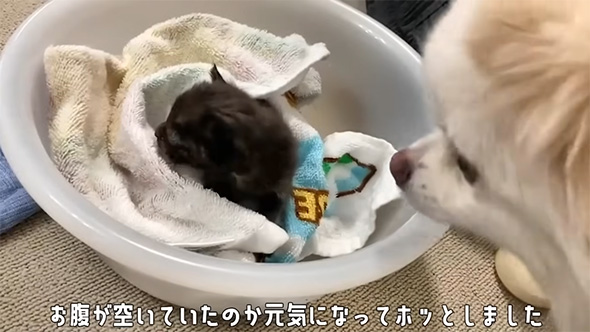 おなかが空いていたのか