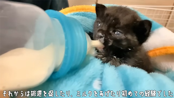 それからは排せつを