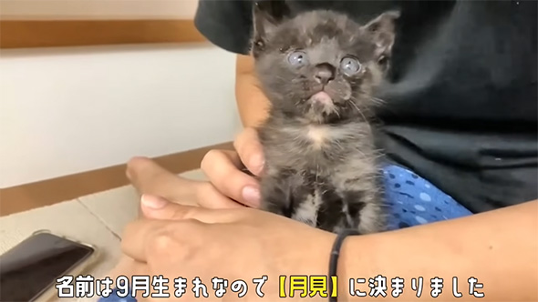 名前は9月生まれなので