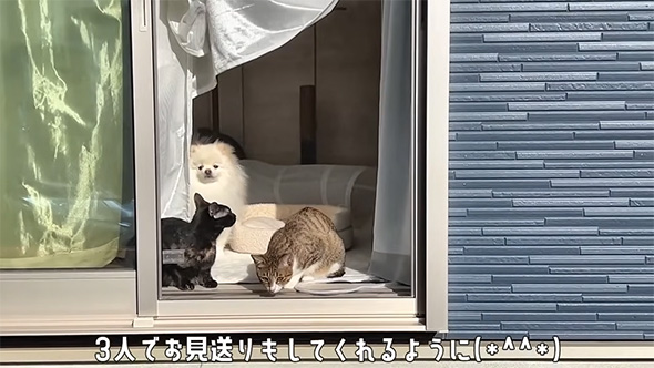 3にんでお見送り