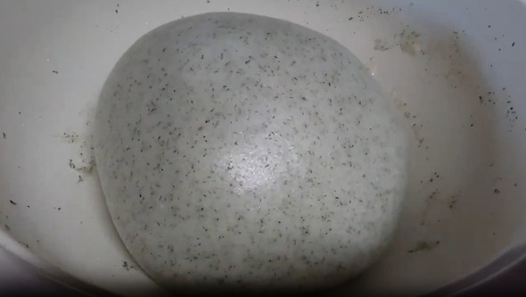 全自動もちつき機