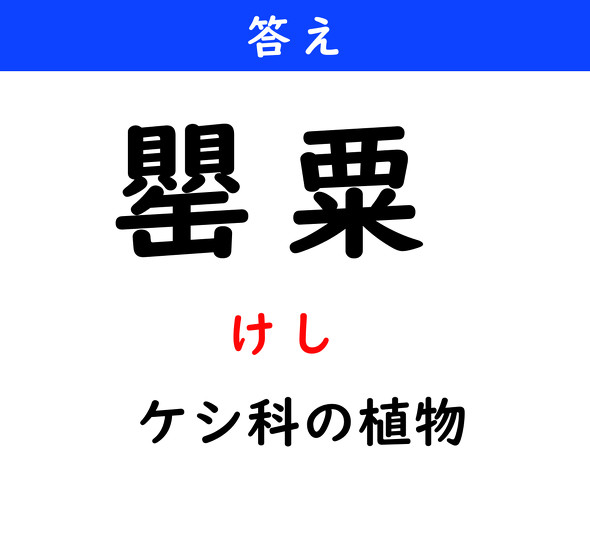 漢字クイズ　難読漢字　罌粟