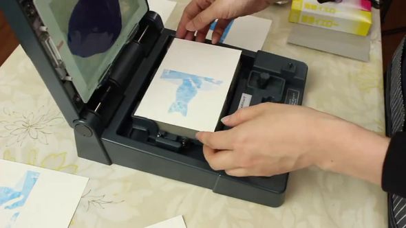 紙に転写された猫の絵