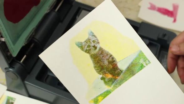 3色が合わさった猫の絵