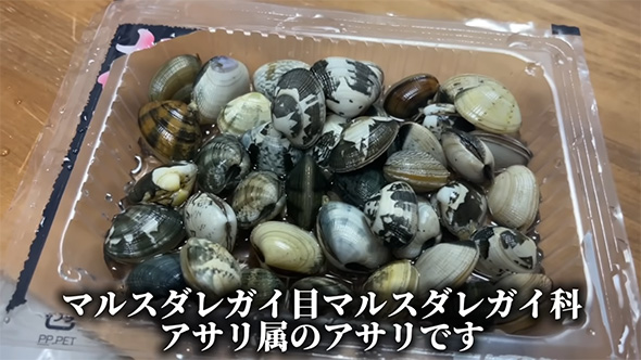 マルスダレガイ目