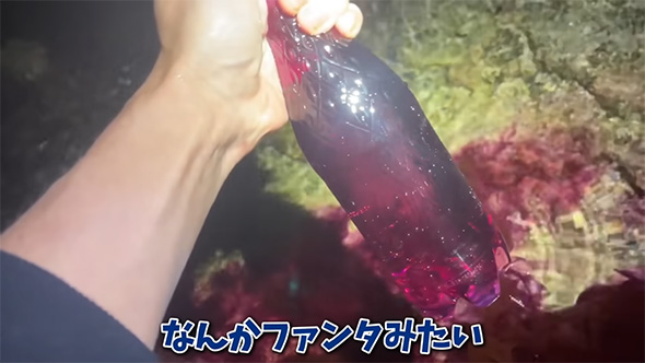 なんかファンタみたい