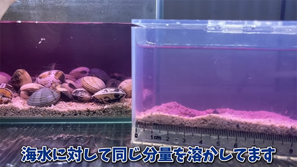 海水に対して同じ分量を