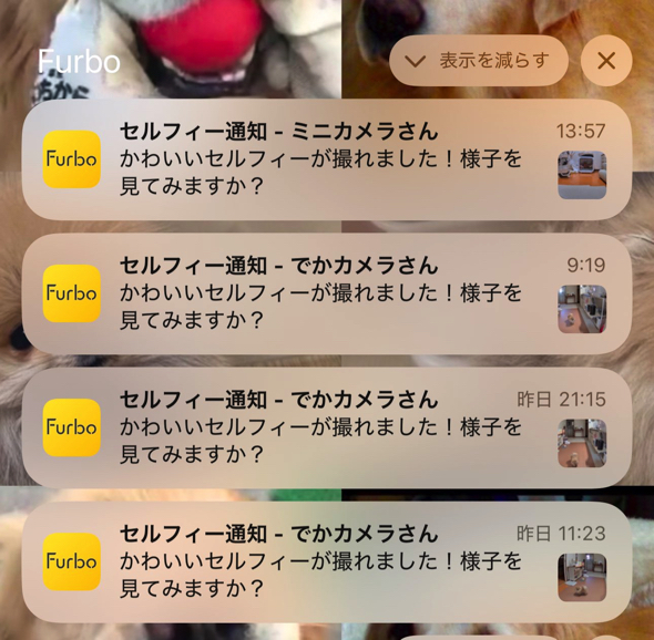 愛犬からの「セルフィー通知」