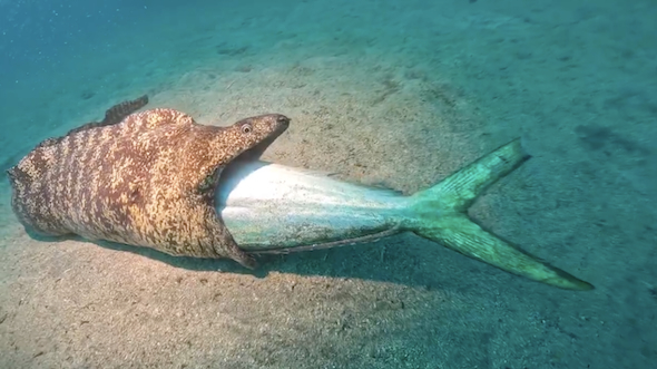 まだ飲み込めない