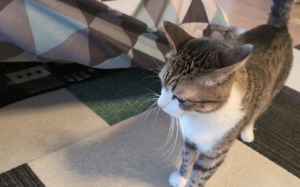 モーニングルーティン