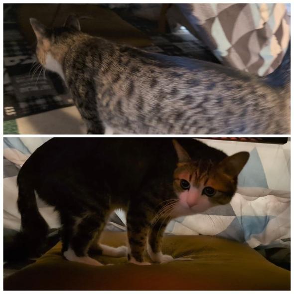 モーニングルーティン