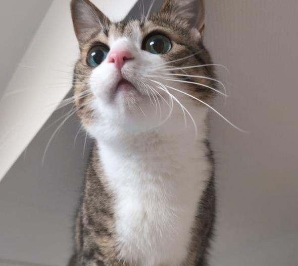 モーニングルーティン