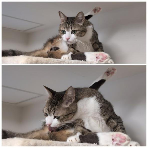 モーニングルーティン