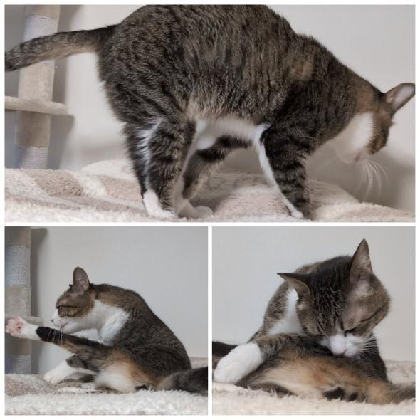 モーニングルーティン