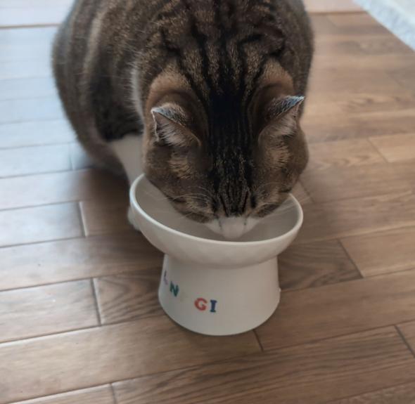 モーニングルーティン