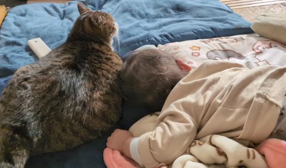 モーニングルーティン